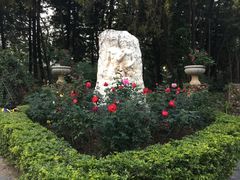 -人民公园(罗湖区)