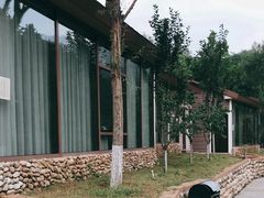 -欢乐松鼠谷