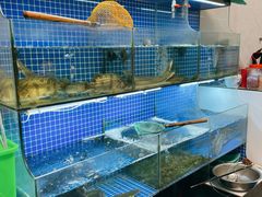 -小本鸡饭店(滨江白马湖店)