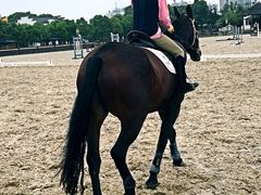 -松声马术俱乐部