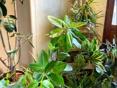 -IFIF 如果花園(宽厚里店)