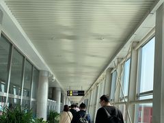 -威海大水泊国际机场