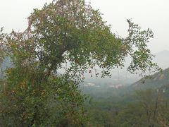 -封龙山风景区