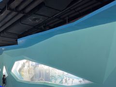 -海合安武汉极地海洋公园