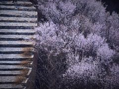 -龙泉峪长城