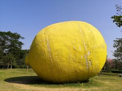 -顺峰山公园