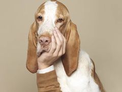 -上海虹梅嘉廷酒店