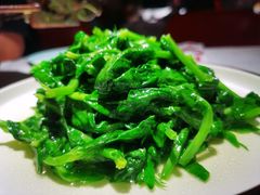 -雲蜀龙阁·金牌水煮鱼(方庄店)