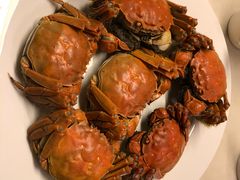 -黄记大闸蟹专卖店·活蟹·醉蟹
