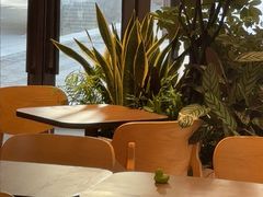 -COSTA COFFEE(新奥购物中心店)