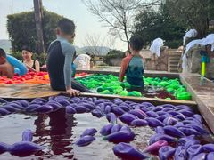 -天目湖涵田半山温泉