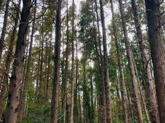 -同里国家湿地公园