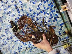 -三号码头罗氏虾小馆