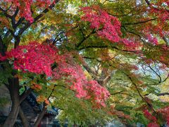 -青岛崂山太清宫