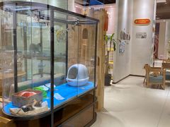 -藏猫猫咖啡主题馆(中央大道店)