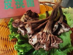 -易门野生菌府·菌海森林(月牙潭公园店)