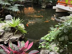 -广州白天鹅宾馆