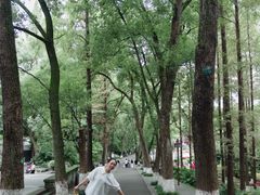 -忠山公园