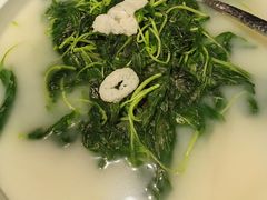 -肆月河豚·新淮扬(金融街店)