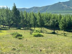 -塞罕坝国家级自然保护区