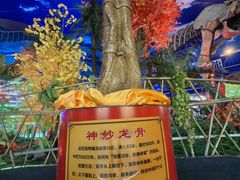 -诸城市恐龙博物馆
