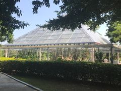 -东南花都花博园