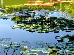 -国家植物园南园