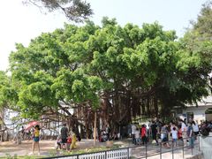 -胡里山炮台