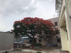 -南丫岛