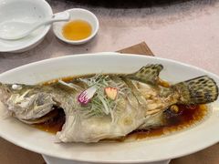 清蒸野生鲈鱼-十八棵（老龙井）御茶园(老龙井店)