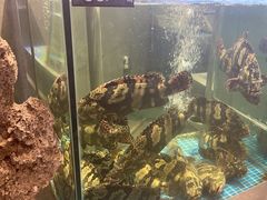-宴小馆·小海鲜青岛菜(五四广场店)
