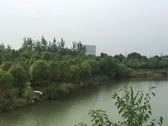 -青龙山国家森林公园