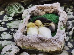 -遇见长安(赛格国际购物中心店)