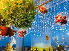 -烛影拾光观景餐厅·创意菜·摄影·小提琴(大唐不夜城店)