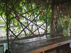 -八珍手工水饺·妈妈的爱(传芳巷店)