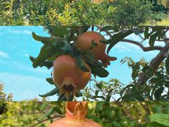 -峄山风景名胜区