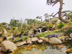 -罗红摄影艺术馆