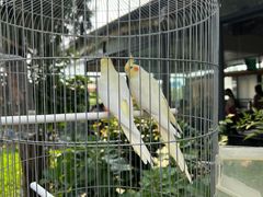 -蘇河湾·新鲁菜·泰山宴(泰山店)