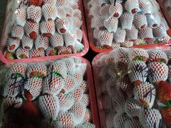 -菜园坝水果市场