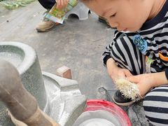 -前小桔亲子创意农场·草莓采摘·露营烧烤