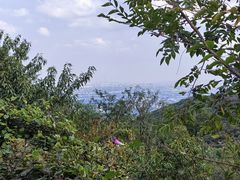 -鬼笑石后山停车场