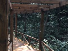 -大岭沟猕猴桃谷风景区