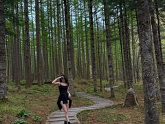 -洛阳白云山景区