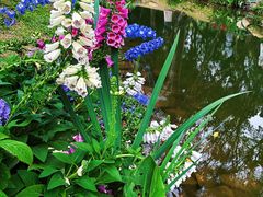 -人民公园(罗湖区)