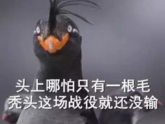 -圆宝台湾小吃(迎津街店)