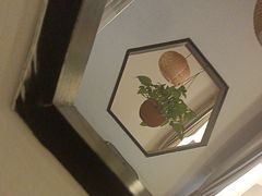 -蘇河湾·新鲁菜·泰山宴(宝龙店)