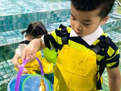 -顺德南宏海立方海洋公园