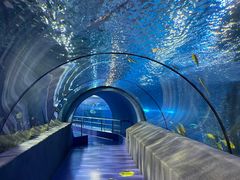 -太平洋海底世界