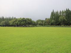 -宜兴龙背山森林公园