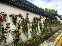 -丝绸小镇荻港古村